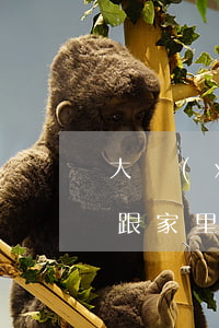 大學(xué)欠了網(wǎng)貸怎么跟家里說(電話說大學(xué)期間網(wǎng)貸)