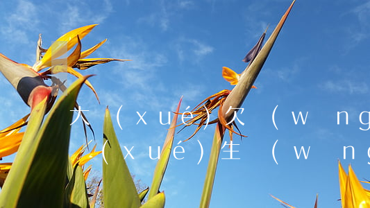 大學(xué)欠網(wǎng)貸太多(大學(xué)生網(wǎng)貸不還)