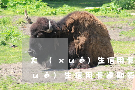 大學(xué)生信用卡欠六毛-大學(xué)生信用卡逾期影響上學(xué)嗎