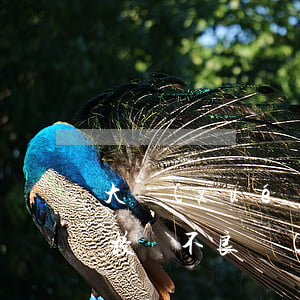大學(xué)生信用卡逾期負(fù)債(校園不良網(wǎng)貸酷似大學(xué)生信用卡如若逾期還款的影響有)