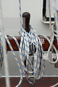 大學(xué)生信用卡逾期還款后果(信用卡逾期影響孩子上大學(xué)嗎)