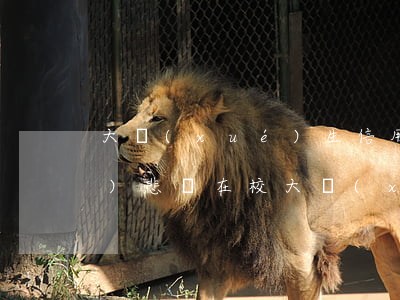 大學(xué)生信用卡還不上引發(fā)悲?。ㄔ谛４髮W(xué)生欠信用卡）