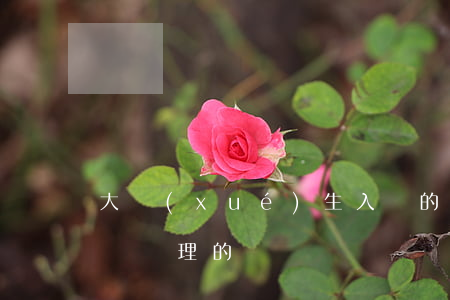 大學(xué)生入職的手續(xù)是怎樣辦理的