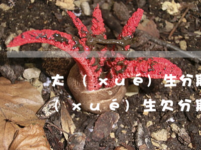 大學(xué)生分期樂欠10000(大學(xué)生欠分期樂15000正常嗎)