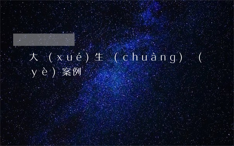 大學(xué)生創(chuàng)業(yè)案例