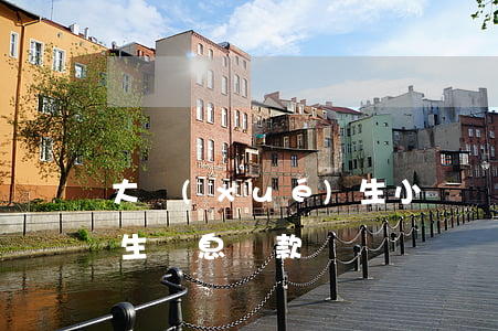大學(xué)生小額貸款(大學(xué)生無息貸款)