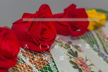 大學(xué)生怎么貸款 大學(xué)生如何貸款