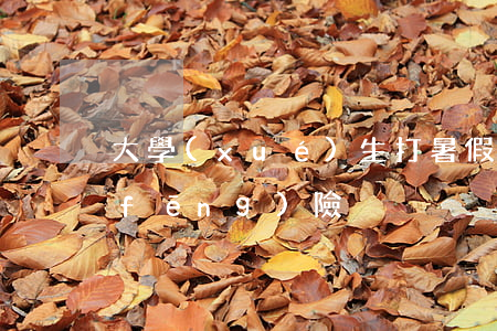 大學(xué)生打暑假工存在的法律風(fēng)險