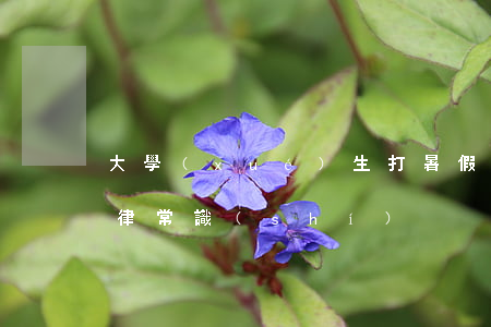 大學(xué)生打暑假工需要注意哪些法律常識(shí)！