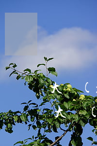 大學(xué)生欠一萬網(wǎng)貸(大學(xué)生欠一萬網(wǎng)貸怎么辦)