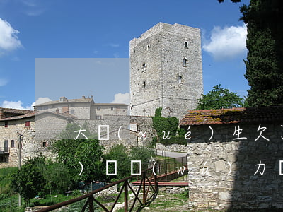 大學(xué)生欠了2w5網(wǎng)貸無(wú)力償還(大學(xué)生網(wǎng)貸欠了兩萬(wàn)怎么辦)