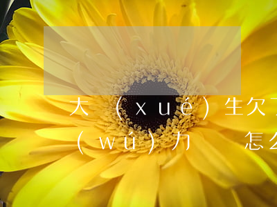 大學(xué)生欠了網(wǎng)貸無(wú)力償還怎么辦(大學(xué)生欠網(wǎng)貸還不上怎么辦)