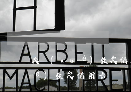 大學(xué)生欠信用卡幾萬 大學(xué)生欠信用卡幾萬怎么辦
