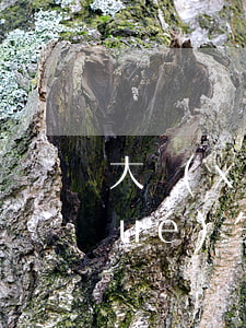大學(xué)生欠債無力償還-大學(xué)生欠賬