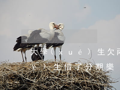大學(xué)生欠兩千分期樂(大學(xué)生借了分期樂)