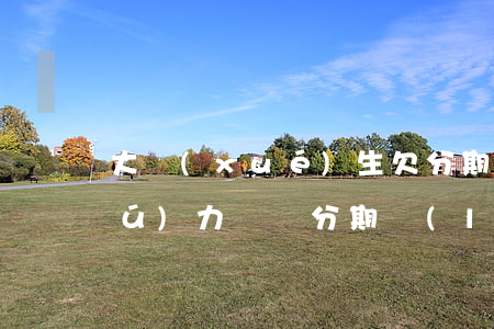 大學(xué)生欠分期樂(lè)無(wú)力償還(分期樂(lè)無(wú)能力償還)