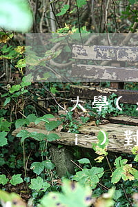 大學(xué)生欠學(xué)費(fèi)對(duì)信用卡有影響嗎-大學(xué)生欠學(xué)費(fèi)對(duì)信用卡有影響嗎知乎