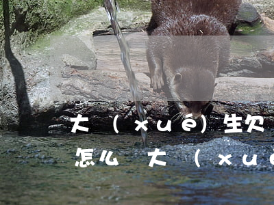 大學(xué)生欠網(wǎng)貸3萬怎么辦(大學(xué)生欠網(wǎng)貸3萬怎么辦)