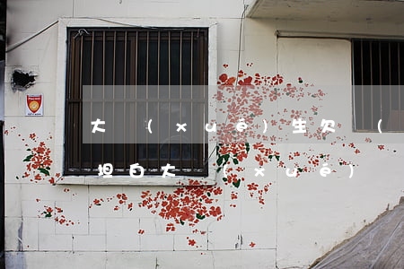 大學(xué)生欠網(wǎng)貸4萬坦白(大學(xué)畢業(yè)欠了四萬網(wǎng)貸怎么辦)