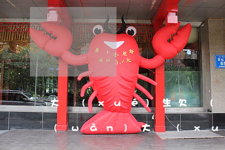 大學(xué)生欠網(wǎng)貸兩萬(wàn)(大學(xué)生網(wǎng)貸欠了兩萬(wàn)怎么辦)
