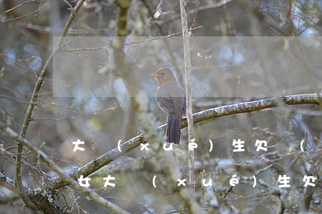 大學(xué)生欠網(wǎng)貸報警(女大學(xué)生欠網(wǎng)貸)