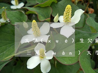 大學(xué)生欠網(wǎng)貸欠款三萬(wàn)(大學(xué)生欠網(wǎng)貸視頻在線)