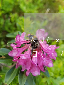 大學(xué)生欠網(wǎng)貸死了誰(shuí)還(欠網(wǎng)貸死了還要還嗎)