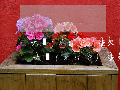 大學(xué)生欠網(wǎng)貸比例(大學(xué)生欠網(wǎng)貸的多嗎)