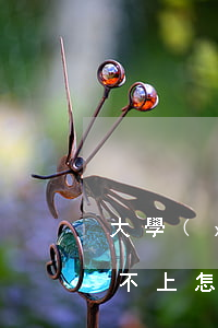 大學(xué)生欠網(wǎng)貸錢還不上怎么辦(大學(xué)生欠了網(wǎng)貸無力償還怎么辦)