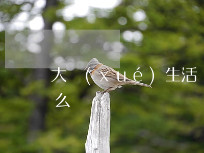 大學(xué)生活唄欠一萬(wàn)怎么還