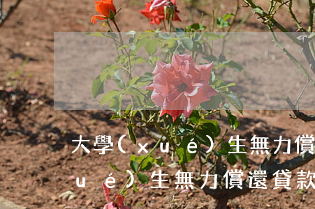 大學(xué)生無力償還貸款了 大學(xué)生無力償還貸款了會怎么樣