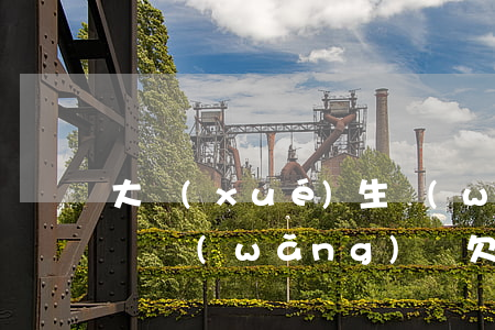 大學(xué)生網(wǎng)貸欠了7萬(網(wǎng)貸欠17萬)
