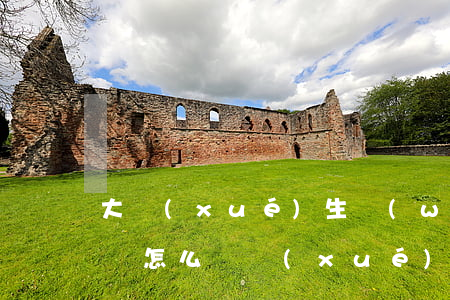 大學(xué)生網(wǎng)貸欠了兩萬怎么辦(學(xué)生欠了一萬多網(wǎng)貸怎么辦)