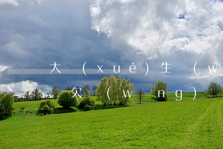 大學(xué)生網(wǎng)貸欠了十萬(欠網(wǎng)貸10多萬)