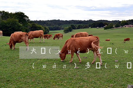 大學(xué)生網(wǎng)貸欠兩萬(wàn)多(網(wǎng)貸欠兩千多)