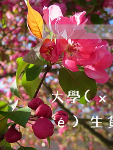 大學(xué)生貸款利息逾期(大學(xué)生貸款利率)