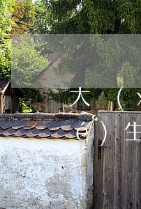大學(xué)生貸款只還本金(大學(xué)生貸款是畢業(yè)后要一次性還完嗎)