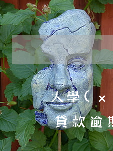 大學(xué)生貸款逾期4個(gè)月(貸款逾期4個(gè)月的后果)