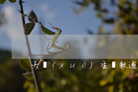 大學(xué)生貸款逾期上征信嗎