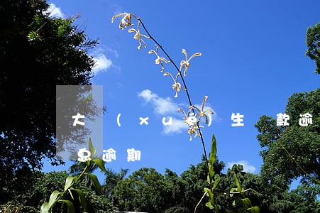 大學(xué)生貸款逾期利息(銀行貸款利息逾期)