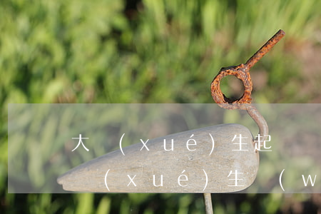 大學(xué)生起訴網(wǎng)貸(大學(xué)生網(wǎng)貸案件)