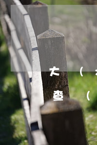 大學(xué)生逾期還款調(diào)查問(wèn)卷