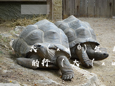 大學(xué)生違反法律法規(guī)的行為(大學(xué)生違反校規(guī)校紀(jì)會有什么處罰)