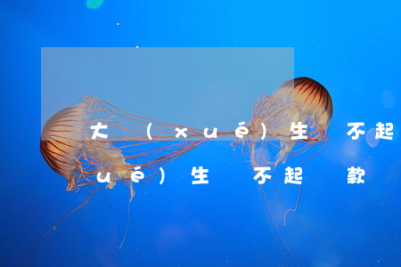 大學(xué)生還不起貸款案例(大學(xué)生還不起貸款慘案)