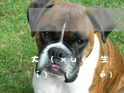 大學(xué)生頂崗實(shí)習(xí)協(xié)議書