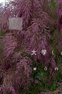 大學(xué)畢業(yè)生欠了五萬(wàn)網(wǎng)貸怎么辦(怎么救欠網(wǎng)貸的大學(xué)生)