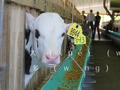大學(xué)網(wǎng)貸欠了兩萬多(網(wǎng)貸欠兩千多)