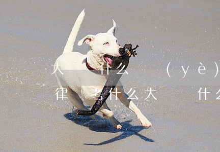 大學學什么專業(yè)可以成為律師(想當律師考什么大學報什么專業(yè))
