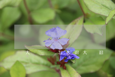 大學學費怎么退（大學退學流程）