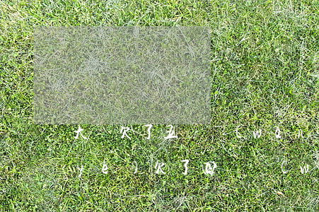 大學欠了五萬網(wǎng)貸(大學畢業(yè)欠了四萬網(wǎng)貸怎么辦)